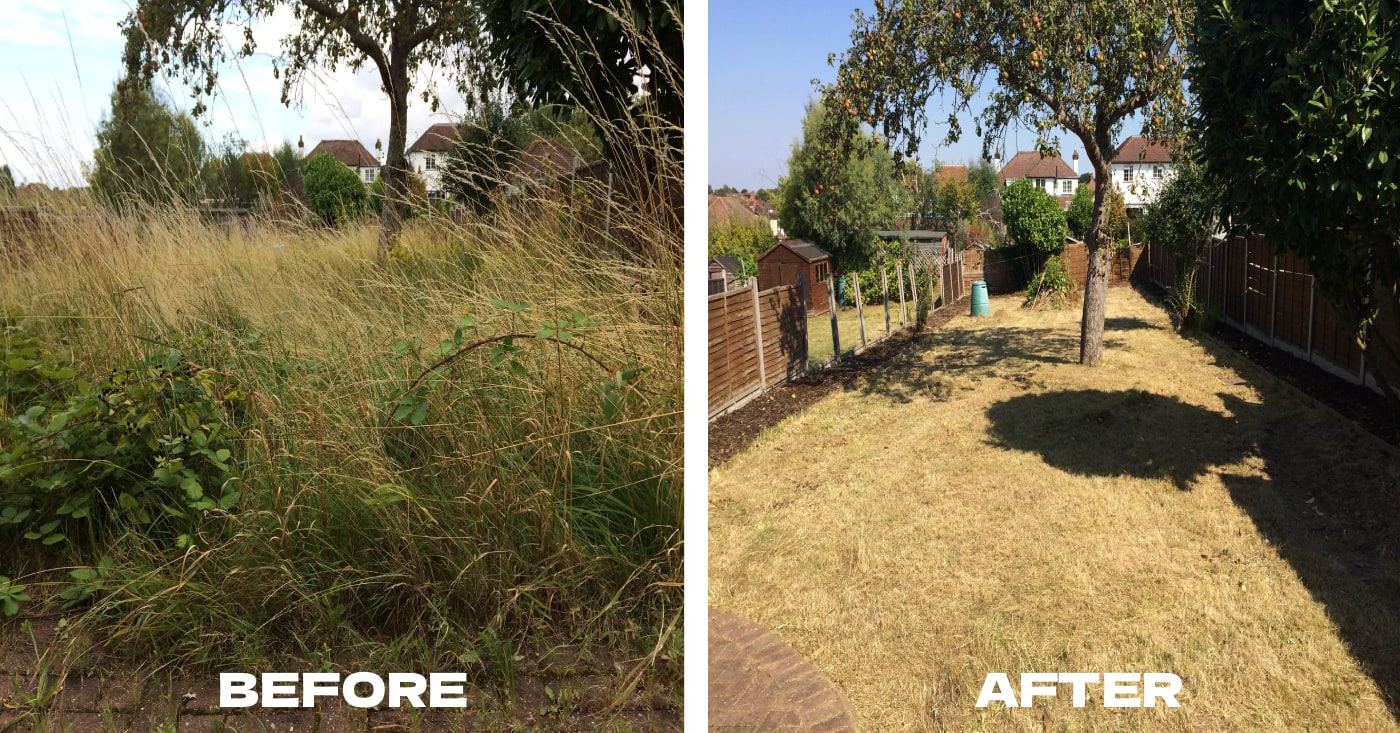 Garden transformation 5 — before and after