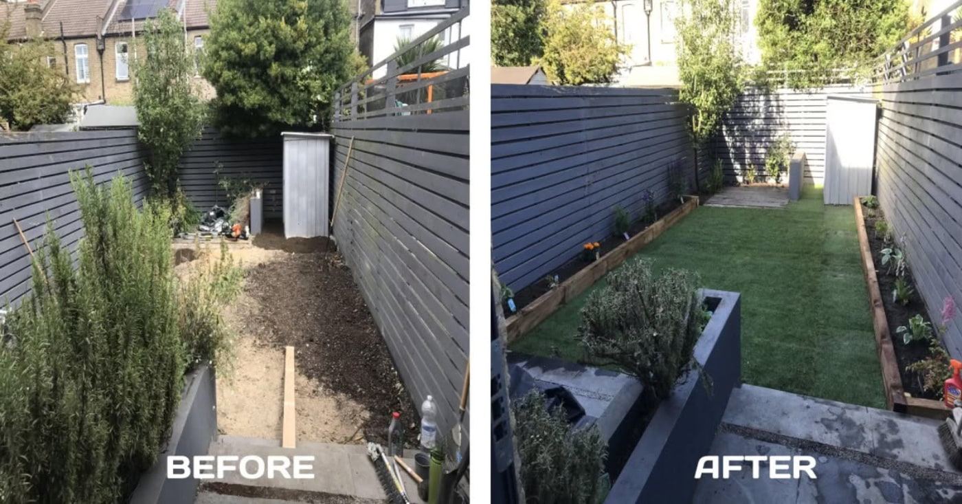 Garden transformation 6 — before and after