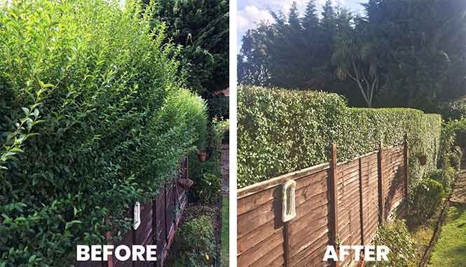 Garden transformation 3 — before and after