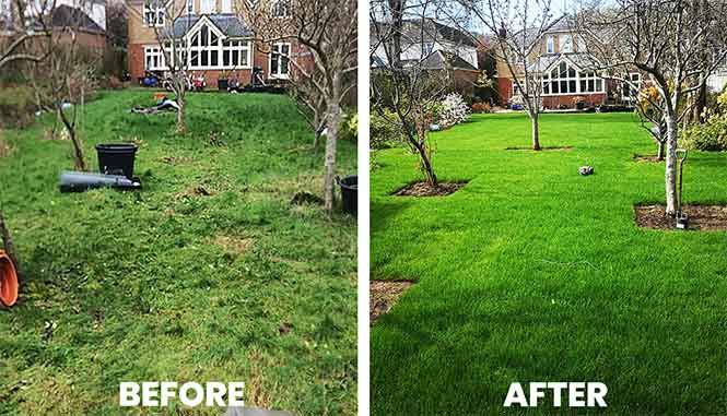Garden transformation 5 — before and after