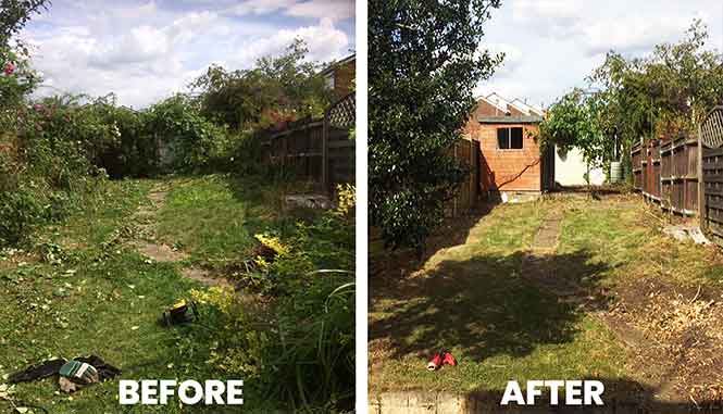 Garden transformation 6 — before and after