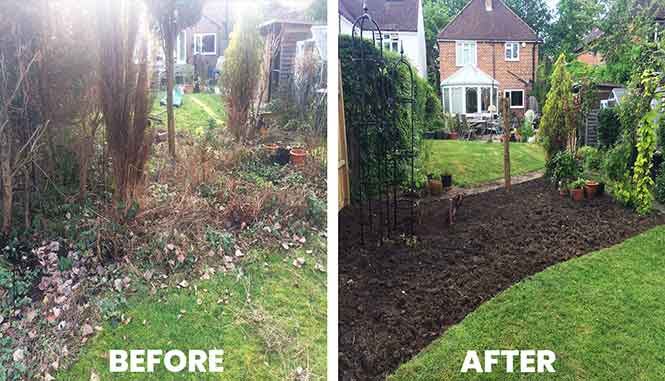 Garden transformation 7 — before and after