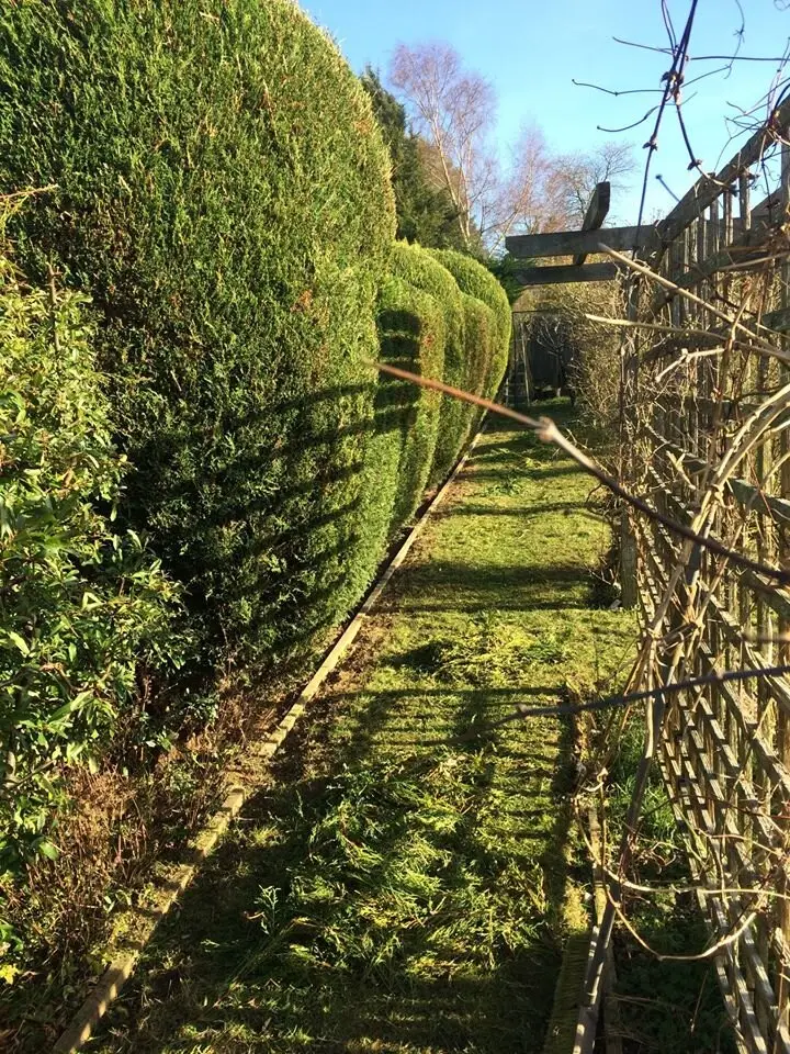 Garden and landscaping work by Gregory’s Gardens, photograph 1
