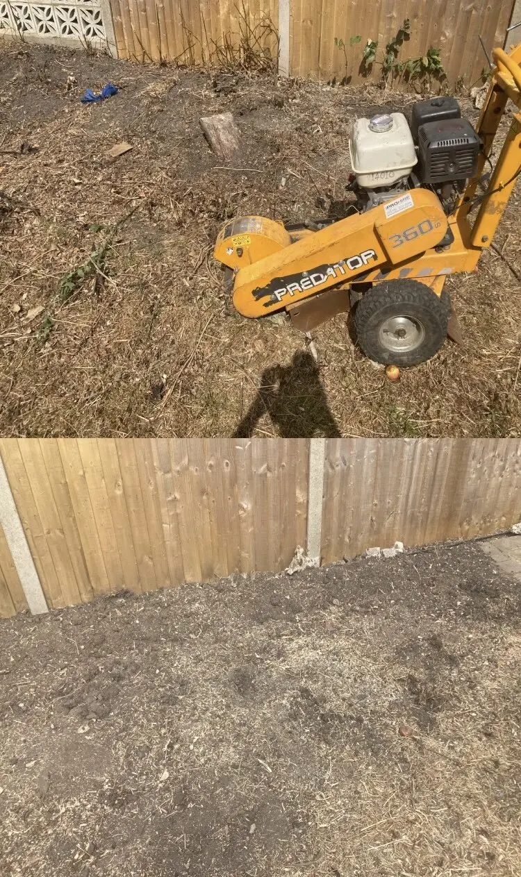 Garden and landscaping work by Gregory’s Gardens, photograph 16