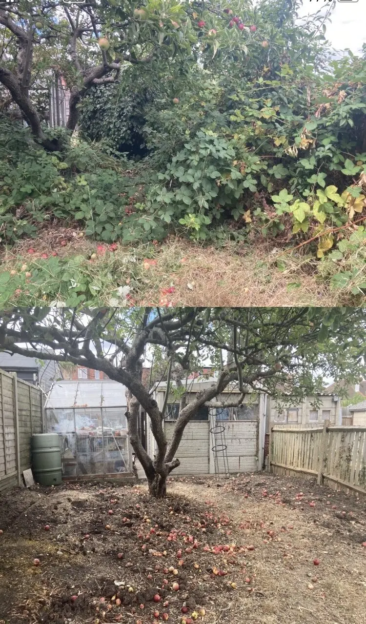 Garden and landscaping work by Gregory’s Gardens, photograph 19